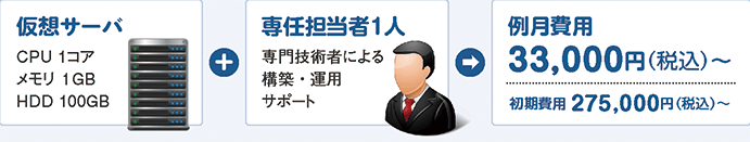 仮想サーバに専任担当者1人がついて例月費用30,000円（税抜）～、初期費用250,000円（税抜）～